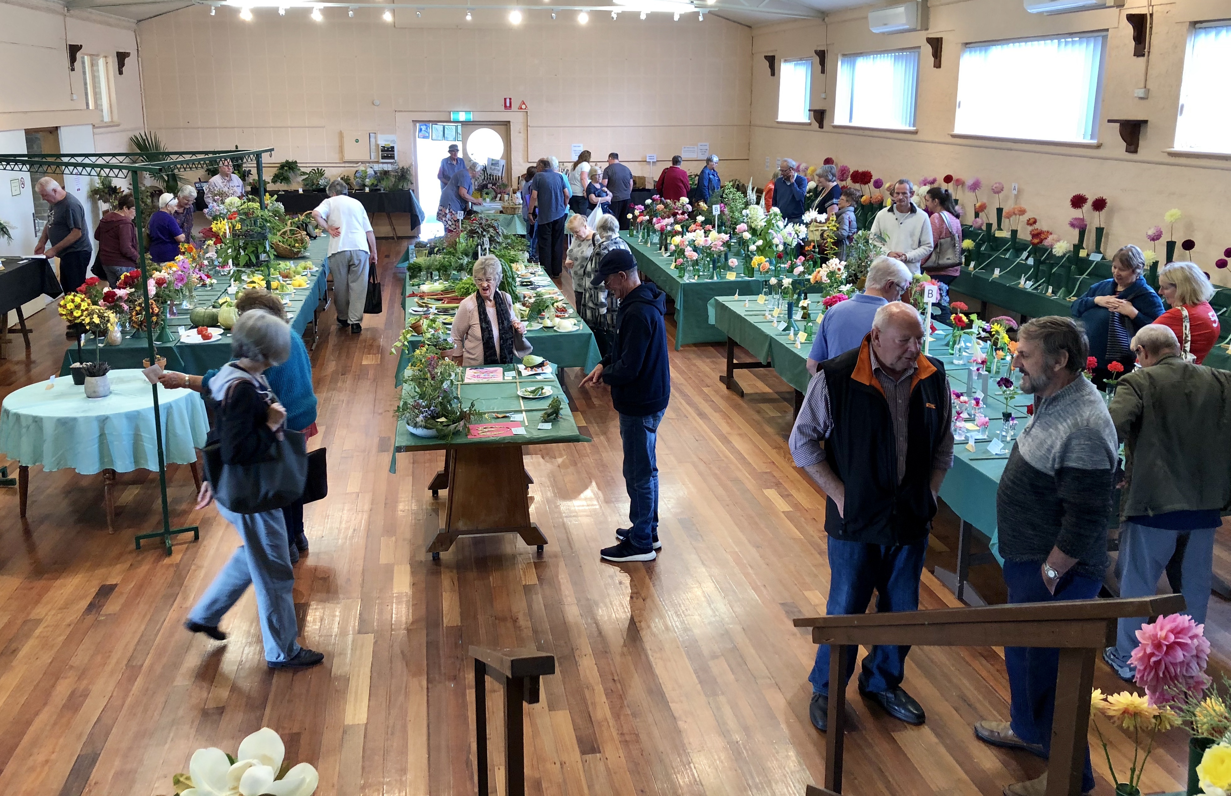 Welshpool & District Horticultural Society's 59th Autumn Show