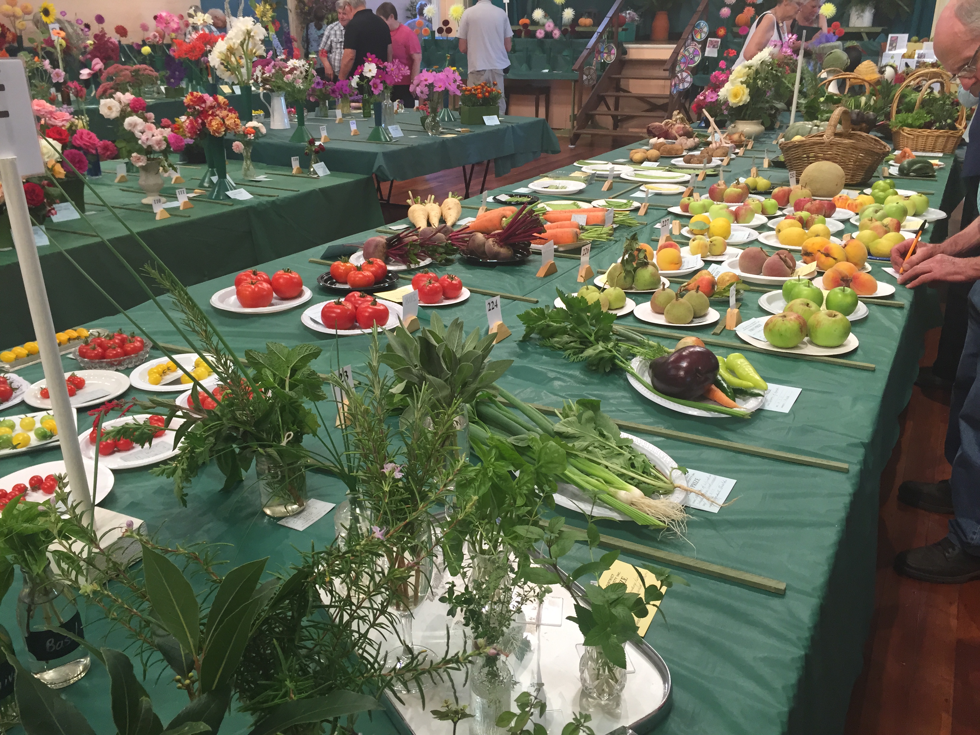 56th Autumn Flower Show 
'Down on the Farm'