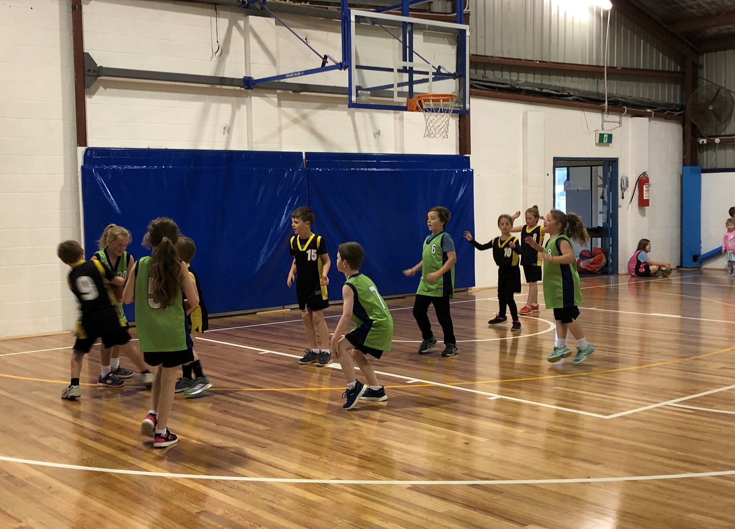 Welshpool Basketball Association

Our minis enjoying themselves on our brand new stadium floor