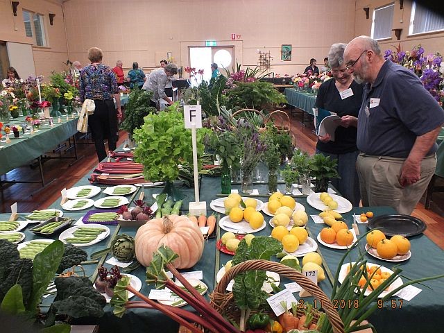 Welshpool & District Horticultural Society - 58th Spring Show