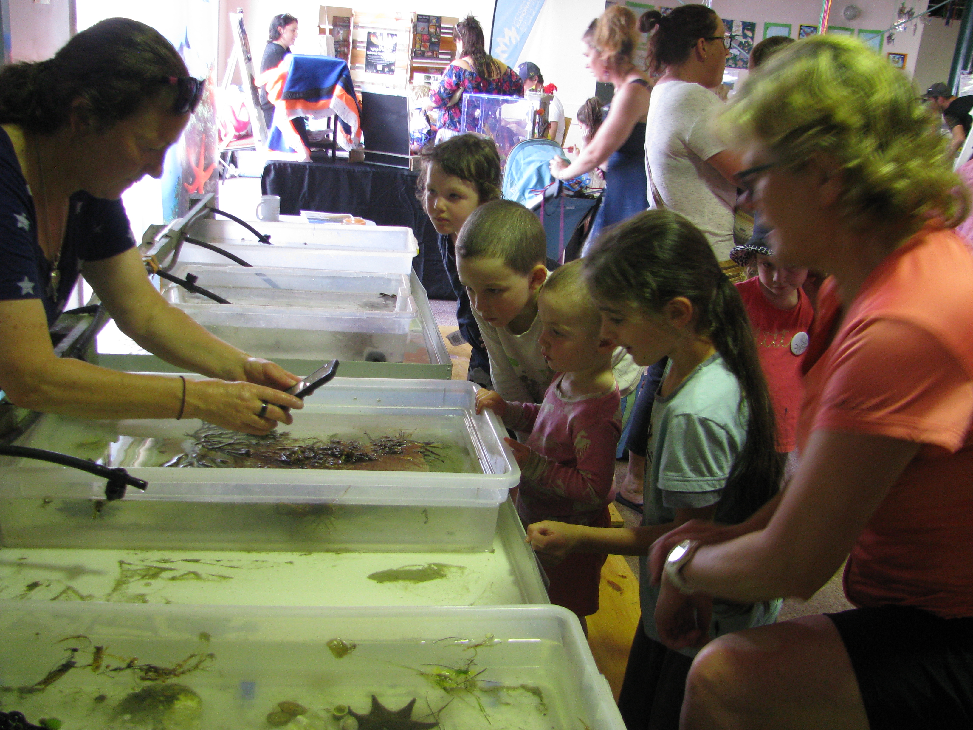 Sea Days 2020 - Viewing the live tanks