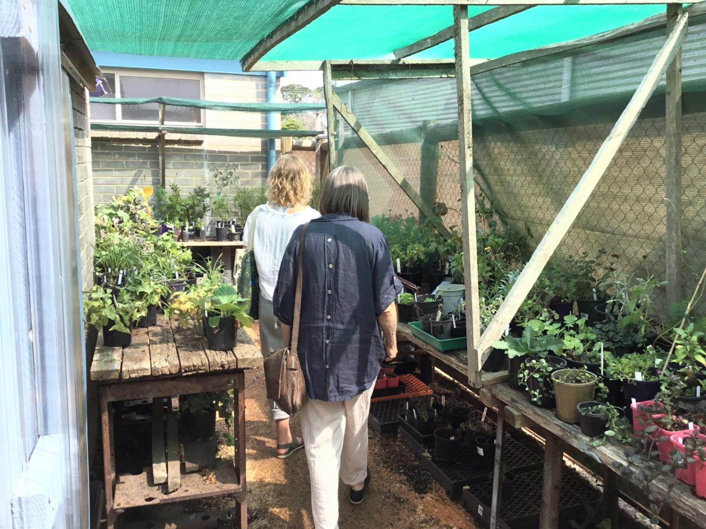 Plant sales at the Welshpool Spring Flower Show